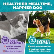Tazón lento Outward Hound Fun Feeder, tazón lento grande para perros, 4 tazas, morado