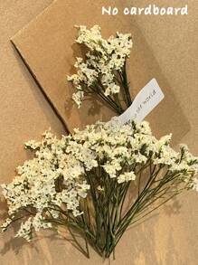 25/50/100/300pcs Preserved Baby's Breath Flowers, For Aromatherapy, Floral Arrangements, Home Decor, Hair Accessories, Wedding Wreaths