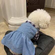 1件宠物衣服，浅蓝色格子背带裙，二合一设计，适合中小型贵宾犬、泰迪犬，春秋季，狗狗/猫咪公主裙 - 藍色 - 查看 3