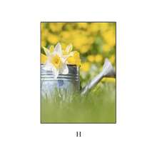 1PC Oil Painting Autumn Sunflowers, Cherry Blossoms, Plants And Flowers, Green Landscape Aesthetics Poster Prints Home Decoration Frameless Fall Murals