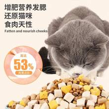 Small Pet Feeders - New Three-in-one Cat Food [10 Catties] - View 1