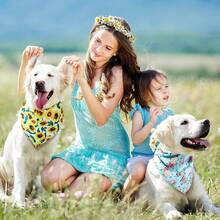 8 Pcs Floral Dog Bandana Spring Flower Pet Triangle Bib Scarf Daisy Rose Pet Bandana Suitable For Most Dog And Cat(Cute Pattern)Christmas - Cute Pattern - View 9