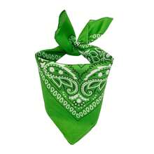 Printed Polyester Bandana Scarf Various Colors 1 Unit - Verde claro - Ver 3