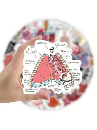 50pcs Human Anatomy/Neuron Stickers - Fun & Creative, Non-Sticky Wall Decor, Body Journal Stickers, Suitable For Classroom, Hospital, Home Decor, Learning Aid, Classroom Decoration, Educational Illustration, Office Decor, Room Decor, Computer Decor, Water Bottle Decor