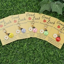 1 件/3 件/5 件/10 件幸运瓢虫和雏菊钥匙扣饰品套装，合金卡通动物主题钥匙扣配龙虾扣，DIY 项链手链耳环吊坠，装饰女士钥匙圈，好运祝福卡礼物 - 紅色 - 查看 9