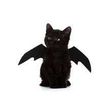1pc Halloween Pet Bat Costumes - Adjustable Harness Fits Cats & Small Dogs - Puppy Collar Leads Cosplay Bat Costume For Pet Halloween Party Favors