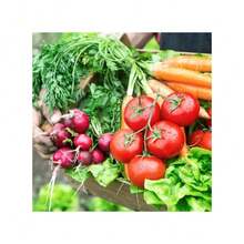 Ryrteurt Perennial Color Mix 100 Seeds - Vegetable Seeds Gift Packs Non-GMO Vegetable Seed Seed Seeding Kit Indoor And Outdoor Growing Home Fresh Food Vegetable Supply - 100粒種子 - 查看 3