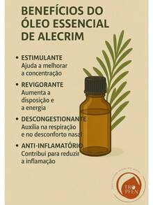 Pure Rosemary Essential Oil Aromatherapy Electric Diffuser Aromatizer 10 ML - 10ml - Xem 5