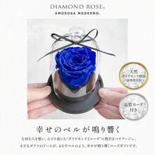 Wedding Flowers - 卓越藍 - 查看 2