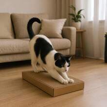 Cardboard Cat Scratcher - 鏽棕色 - 查看 4