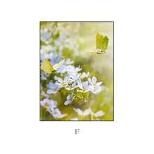 1PC Oil Painting Autumn Sunflowers, Cherry Blossoms, Plants And Flowers, Green Landscape Aesthetics Poster Prints Home Decoration Frameless Fall Murals