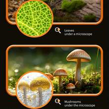 Przenośny, ręczny mikroskop z oświetleniem LED, powiększenie 50X-300X, idealny do odkrywania przyrody w pomieszczeniach i na zewnątrz, świetny edukacyjny prezent na święta