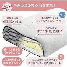 Other Function Pillows & Positioners