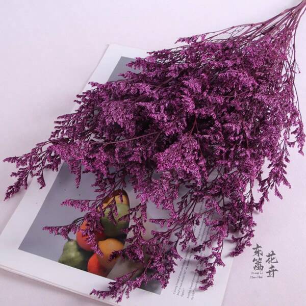 22,8 Zoll konserviertes lila Gras Bund, getrocknetes Gras Bündel, Vase Füllung, getrocknete Blumen Anordnung, Kranz Herstellung, Herbst Hochzeit Szene, Heimdekoration, Oster Dekorationen