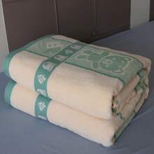 Bed Blankets & Towel Blankets