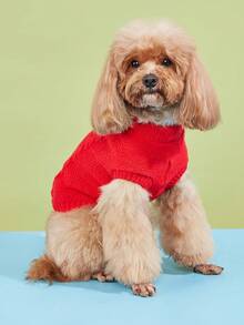 1 件经典条纹针织纯色糖果色保暖毛衣，适合小型犬，高弹力贵宾犬套头衫，多色 - 紅色 - 查看 6
