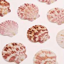 10/20pcs Box Of Pink Series Perforated Ocean Shells - Elegant Handmade Jewelry DIY Materials, Dream Ocean Style Handmade Project, Room Walls & Home Decoration - Màu sắc ngẫu nhiên - Xem 1