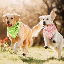 8 Pcs Floral Dog Bandana Spring Flower Pet Triangle Bib Scarf Daisy Rose Pet Bandana Suitable For Most Dog And Cat(Cute Pattern)Christmas - Cute Pattern - View 3
