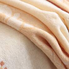 Bed Blankets & Towel Blankets