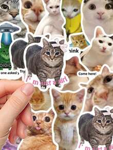 50 Stücke Lustige Katzen Meme Aufkleber, Cartoon Dekoration, Schulmaterial, Scrapbooking, Laptop, Gepäck, Gitarre, Wasserflasche, Handyhülle, DIY Aufkleber