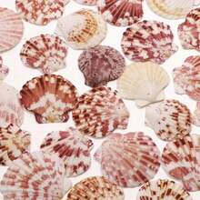 10/20pcs Box Of Pink Series Perforated Ocean Shells - Elegant Handmade Jewelry DIY Materials, Dream Ocean Style Handmade Project, Room Walls & Home Decoration - Màu sắc ngẫu nhiên - Xem 3