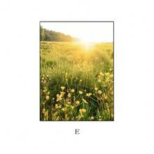 1PC Oil Painting Autumn Sunflowers, Cherry Blossoms, Plants And Flowers, Green Landscape Aesthetics Poster Prints Home Decoration Frameless Fall Murals