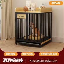 Pet Houses & Cages