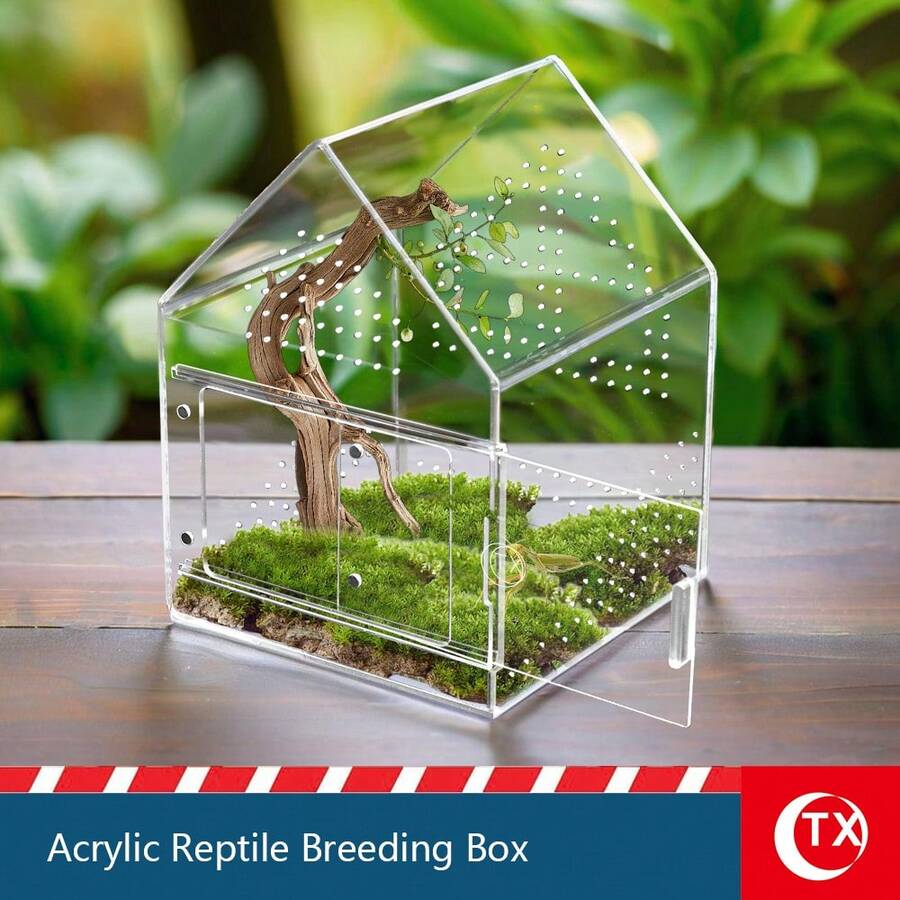 Transparent Insect Feeding Box, House-Shaped Design Reptile Terrarium ...