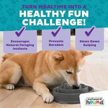 Outward Hound Fun Feeder Slo Bowl, Medium Slow Feeder Dog Bowl, 2 Cups, Turquoise - Gray - View 5