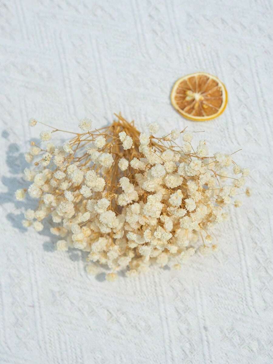 25/50/100/300pcs Preserved Baby's Breath Flowers, For Aromatherapy, Food Decor, Vase Filler, Home Decor, Hair Accessories, Wedding Wreath