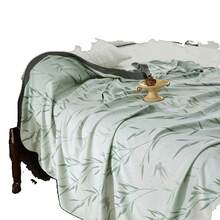 Bed Blankets & Towel Blankets