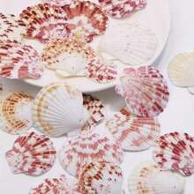 10/20pcs Box Of Pink Series Perforated Ocean Shells - Elegant Handmade Jewelry DIY Materials, Dream Ocean Style Handmade Project, Room Walls & Home Decoration - Màu sắc ngẫu nhiên - Xem 5