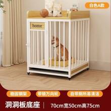 Pet Houses & Cages