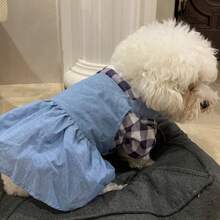 1件宠物衣服，浅蓝色格子背带裙，二合一设计，适合中小型贵宾犬、泰迪犬，春秋季，狗狗/猫咪公主裙 - 藍色 - 查看 4