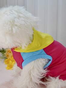 Patchwork Color Block Short Sleeve Hoodie Outerwear For Pomeranian & Bichon Frise