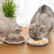 3Pcs Cat Food Bowls, Ceramic Cat Food Bowls With Nonslip Silicone Bottom, Anti Whisker Fatigue Cat Plates For Indoor Cats, Ceramic Pet Bowl With Wide Shallow Kitten Dishes For Dry And Wet Food,10153463