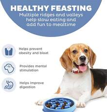 Outward Hound Fun Feeder Slo Bowl, Medium Slow Feeder Dog Bowl, 2 Cups, Turquoise - Màu xanh lam - Xem 2