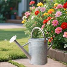 Metal Watering Can For Outdoor And Indoor Plant Care 1 Gallon Zinc Stainless Steel Handle - 004 鋅不銹鋼手柄 - 查看 2