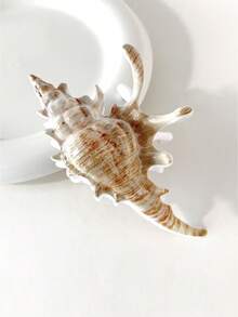 1 件女士贝壳发夹，海滩度假风格，发夹，高端 2025 新款时尚发饰发饰秋季配饰秋冬发夹 - 彩色 - 查看 8