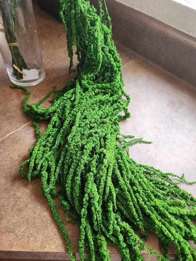 1/2/3/4/5枝悬挂苋菜，悬挂苋菜花束，悬挂墙面装饰，拱门花装饰，干花布置，婚礼装饰