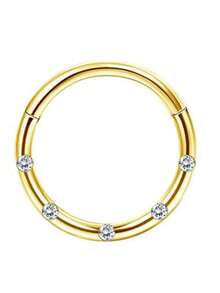 DOLOTTA 1-6Pcs Septum Rings 16G Surgical Steel Nose Rings Hoops For Women Seamless Clicker Hinged Segment Hoop Lip Nose Rings Conch Lip Helix Cartilage Earring Septum Jewelry Lip Nose Daith Hlix Piercing Jewelry 8MM