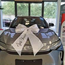 Giant Bow + Marker Pen Bow Background, Birthday Party Room Wall Decor, Huge Ribbon Tie Hanging Gift Dust Wall Decoration