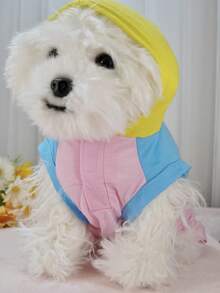 Patchwork Color Block Short Sleeve Hoodie Outerwear For Pomeranian & Bichon Frise