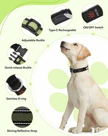 Light Up Dog Collar, USB Rechargeable LED Dog Collar Glow In The Dark, Adjustable Reflective Waterproof Dog Collar Light For Night Walking - Green - View 2