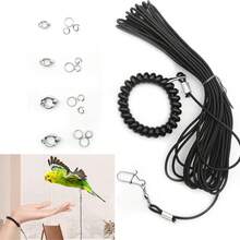 1 Stück Papageien-Leine, ultraleicht und fußfreundliches Outdoor-Trainingsseil für Aras, Kakadus, Papageien