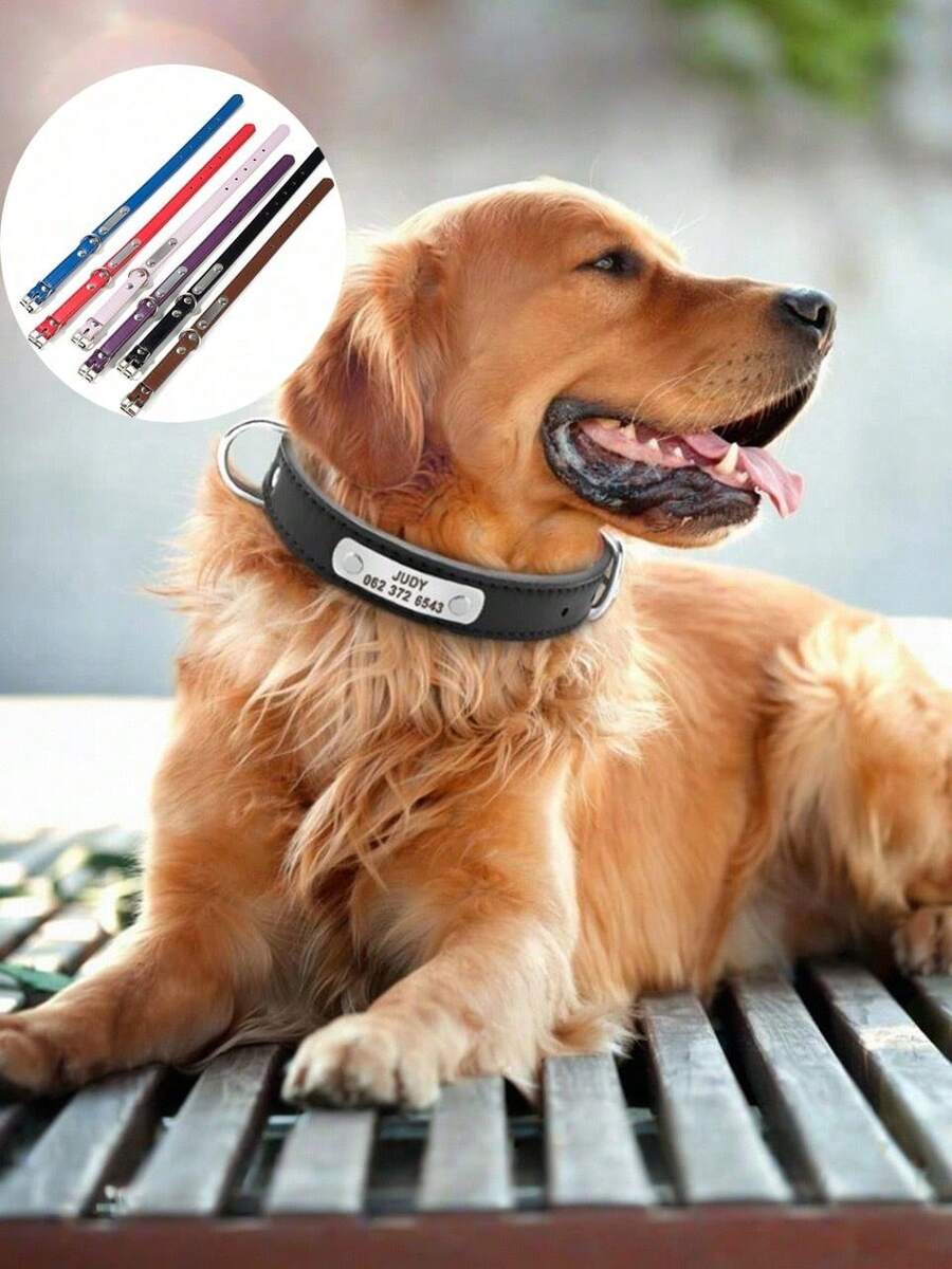 1 pieza Collar pequeño para perro y gato de PU con hebilla de metal, collar ajustable para gato, cachorro, collar, arnés y correa para perros, duradero y cómodo, collar de mascota anti-pérdida con placa de identificación