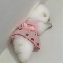 Summer Thin Pet Gauze Skirt For Small Dogs, Bichon, Teddy, Yorkshire Terrier, Schnauzer, Cat, Etc.