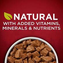 Purina ONE Instinto Verdadero Fórmulas Clásicas de Grano Libre con Pavo y Venado Reales, y con Pollo y Pato Reales Alimento Húmedo para Perros Alto en Proteínas Paquete Variado - (Paquete de 6) Latas de 13 Onzas - Pollo - Ver 4