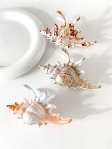 1 件女士贝壳发夹，海滩度假风格，发夹，高端 2025 新款时尚发饰发饰秋季配饰秋冬发夹 - 彩色 - 查看 1