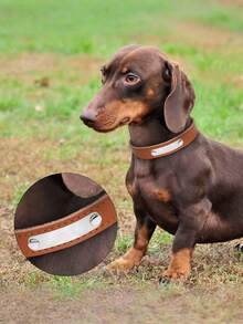 1 pieza Collar pequeño para perro y gato de PU con hebilla de metal, collar ajustable para gato, cachorro, collar, arnés y correa para perros, duradero y cómodo, collar de mascota anti-pérdida con placa de identificación